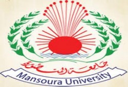 رئيس جامعة المنصورة: معنديش حاجة اسمها حرية رأى وتعبير