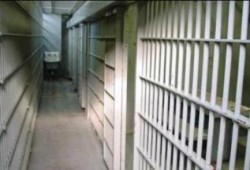 إعتقال 8 من رافضي الإنقلاب العسكرى بدمياط فجر اليوم