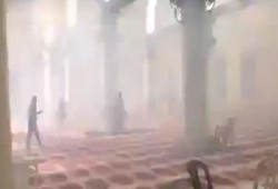 خنازير الصهاينة يدنسون الأقصى ويطلقون قنابل الغاز على المرابطين فيه ويحطمون نوافذه (فيديو)