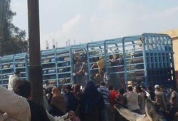 بالصور ..  كفرالشيخ : أزمة البوتاجاز تضرب شباس الشهداء