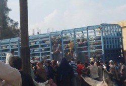 بالصور ..  كفرالشيخ : أزمة البوتاجاز تضرب شباس الشهداء