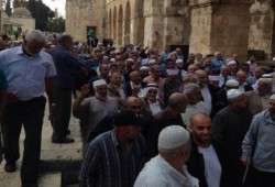 فلسطين : مسيرة حاشدة للشيوخ للمرابطين  في المسجد الأقصى وشارات رابعة تتصدرها(صور)
