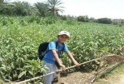 أمن الإنقلاب بأسوان يعتقل طالب في المرحلة الاعدادية