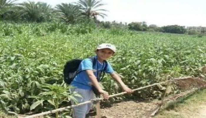 أمن الإنقلاب بأسوان يعتقل طالب في المرحلة الاعدادية