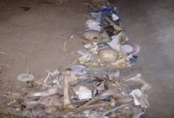 كارثة : أبو خليل يكشف بالصور هياكل عظمية وجماجم على طريق إسماعيلية