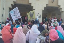 فعالية حاشدة تجوب أرجاء كلية الدراسات الإسلامية بـ ‫المنصورة‬ والألتراس يشعلها.