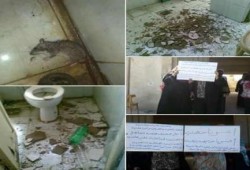 البحر الأحمر: نحس السيسى سقوط سقف مبنى الضرائب برأس غارب على الموظفين