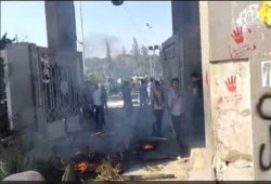 ليلي سويف: الطلاب يتعرضون لعنف "غير مسبوق" في تاريخ الجامعات