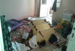 بالصور .. داخلية الانقلاب بدمنهور تعتقل 3 سيدات خلال حملة مداهمات للمنازل