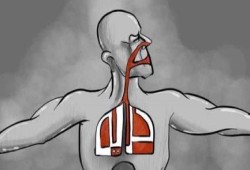 لليوم الرابع استمرار اضراب 8 معتقلين بسجن المنيا عن الطعام