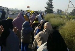 سلسلة بشريةصباحية لثوار الرياض تتحول لمسيرة على رافد الدولي بلطيم كفر الشيخ