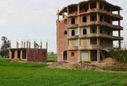 بسبب إهمال الانقلاب.. مصر تفقد 200 ألف فدان أراضي زراعية