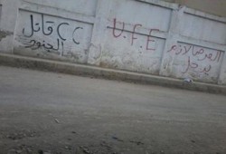 كفرالشيخ: بالصور دسوق تنتفض في حملة اسبراي في ذكرى مولد الدسوقي ضد تهجير اهلنا في سيناء