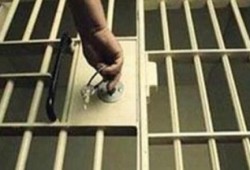 إخلاء سبيل 7 فتيات من "ميت سلسيل" بعد ساعات من احتجازهن