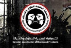 "المصرية للحقوق والحريات" تدين فرض الحراسة على "الصيادلة"