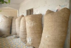 بعد تحديد الدعم بـ1000جنيه فلاحو البحيرة: مش هنزرع قطن تاني ووكيل الوزارة:البنجرأحسن