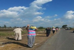 سلسلة بشرية على طريق "نبروه - بهوت" تنديداً لما يفعله العسكر فى سيناء