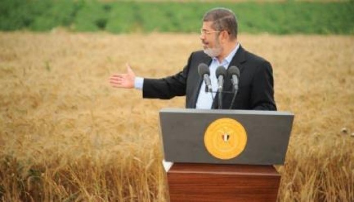 رويترز: حكومة الانقلاب تبحث شراء قمح بنهاية العام الجارى