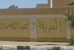 حملة للكتابة على حوائط أسوان للمطالبة بالإفراج عن الطلاب المعتقلين