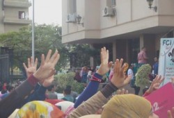 بالصور .. فاعلية لطلاب ضد الانقلاب ‫‏جامعة المنوفية‬ أمام كلية أداب وحاسبات ومعلومات