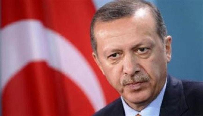 أنقرة تستدعي السفير الألماني احتجاجًا على رسومات مسيئة لأردوغان