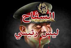 علاء بيومي: السيسي يصر على إسقاط الدولة وهدم المؤسسات