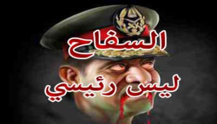 علاء بيومي: السيسي يصر على إسقاط الدولة وهدم المؤسسات