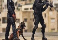 اختطاف طبيب من داخل عيادته وطالب من منزله ببني سويف