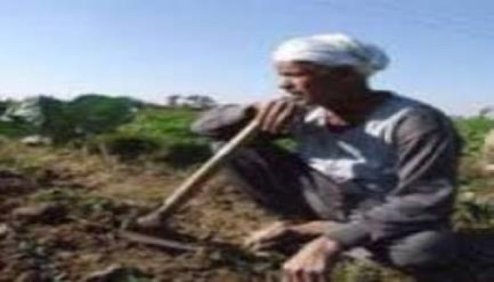 "الفلاحين": مُصنِّعو الأسمدة يربحون 100% على حساب الغلابة