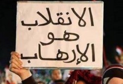 شباب يدشنون "الحملة المصرية لاسقاط الارهاب" لمواجهة الانقلاب