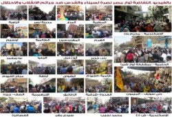 بالفيديو.. فعاليات "قاوموا الظلم" بأنحاء مصر