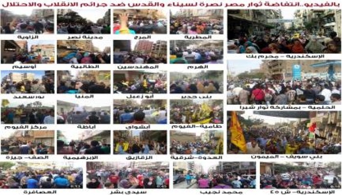 بالفيديو.. فعاليات "قاوموا الظلم" بأنحاء مصر