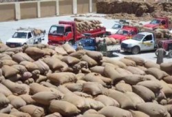 سرقة مليون طن قمح من مطاحن محافظة الفيوم