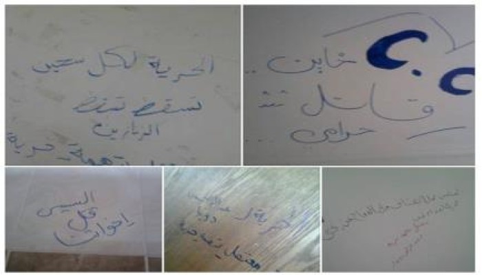 "طالبات المجمع العلمى " لجامعة دمنهور يدشنون حملة "فلوماستر ضد الانقلاب
