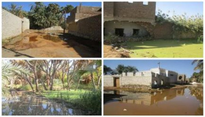 بالصور.. المياه الجوفية تغزو قرية فارس بسبب التنقيب عن البترول وحكومة الإنقلاب نائمة