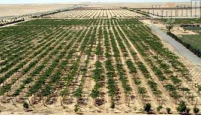 مستثمرون كويتيون يلجأون للتحكيم الدولي لمقاضاة الانقلاب