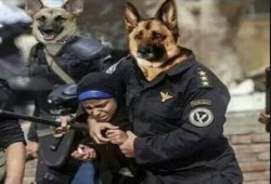 بورسعيد .. قوات أمن الانقلاب تعتقل سيدة من منزلها بعد فشلهم في اعتقال زوجها