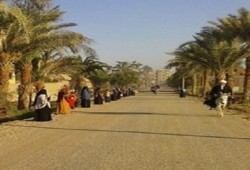 الفيوم: سلسلة لـ "نساء ضد الانقلاب" في سنوفر رفضًا لحكم العسكر