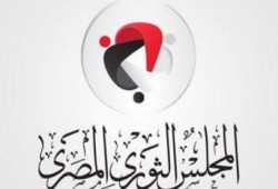 الثوري المصري ينفي لقاء سعد الدين إبراهيم وأبوالمجد