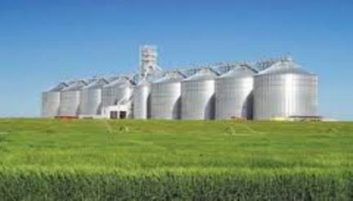 مصر تفشل في إقناع الشركات العالمية بمشروع "السلع الأولية"