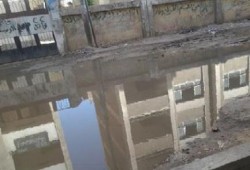 أسوان: غرق قرى كوم أمبو في المياه الجوفية ينذر بكارثة بيئية