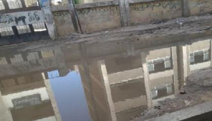 أسوان: غرق قرى كوم أمبو في المياه الجوفية ينذر بكارثة بيئية