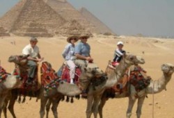 "السياحة":681 قضية آداب خلال أكتوبر