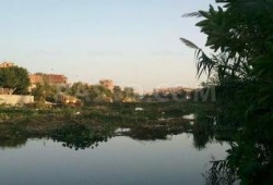 الشرقية : مياه الشرب بأبوحمص تنبئ بكارثة إنسانية فى عهد الانقلاب