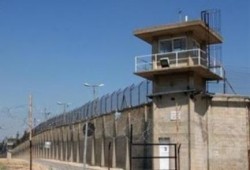 معتقلي برج العرب يضربون عن الطعام و الداخلية تتوعدهم