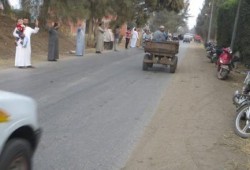 الغربية: سلسلة بشرية بقرية كفر كلا الباب بالسنطة رفضا للانقلاب