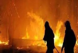 نحس السيسى:  حريق بمصنع "تنر" بمدينة السنبلاوين بالدقهلية