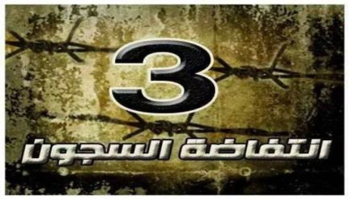 "مونيتور": المعتقلون يخوضون معركة الأمعاء الخاوية ضد قمع الانقلاب