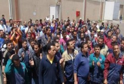 سائقو التوزيع "بشويبس" يمتنعون عن الخروج بسياراتهم والعمال يواصلون الاعتصام