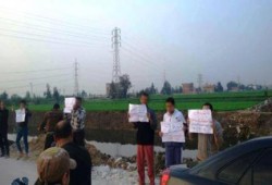 الدقهلية: سلسلة بشرية حاشدة تبعتها مسيرة بالدراجات البخارية بدميرة